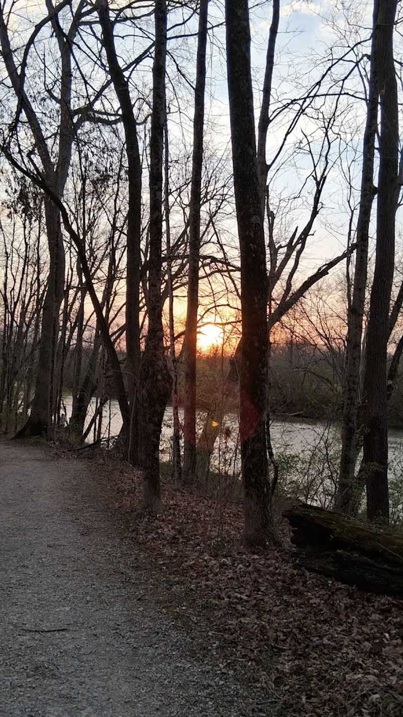 Accessibility Features That Welcome Every Kind of Visitor