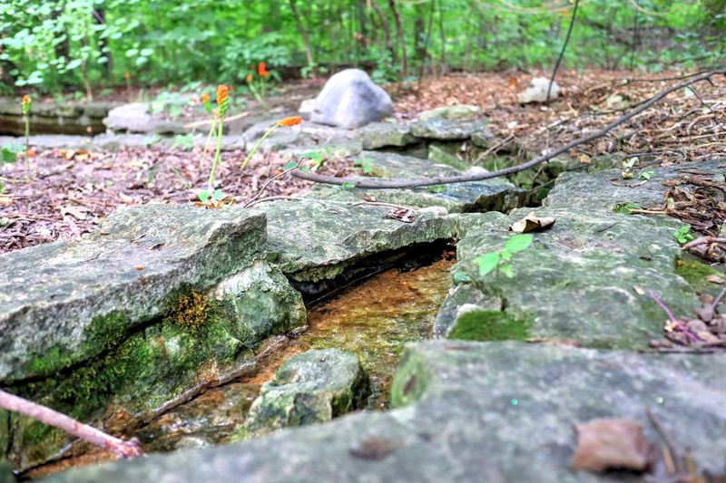 Seasonal Wonders That Change Every Time You Visit