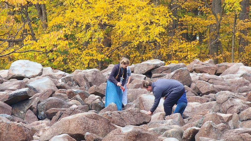 The Rocks Lose Their Tone Once Removed From The Field