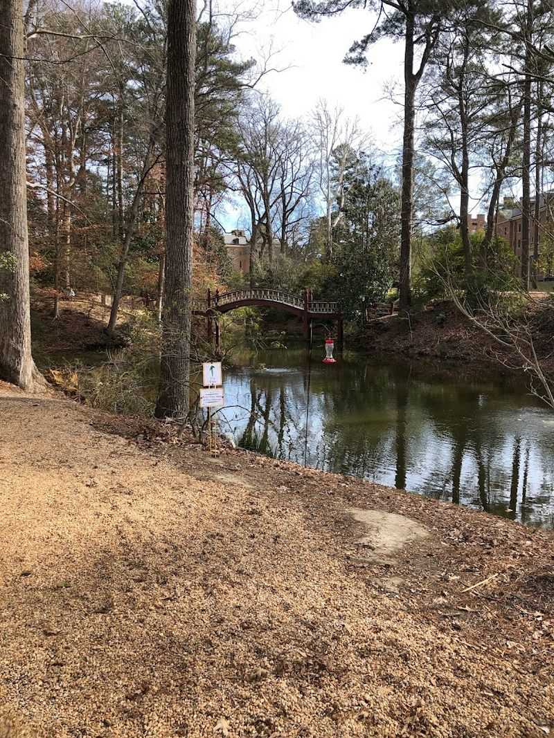 Planning Your Visit to Crim Dell Bridge