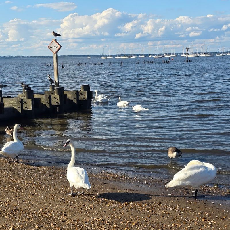 Exploring the Pearl of the Bayshore on Foot