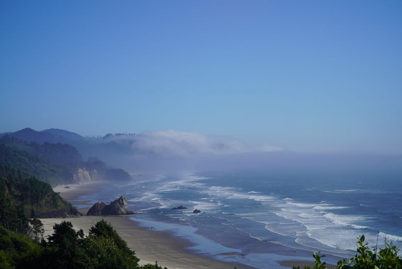Tillamook Head Trail: Where the Real Seaside Begins Tillamook Head Trail: Where the Real Seaside Begins