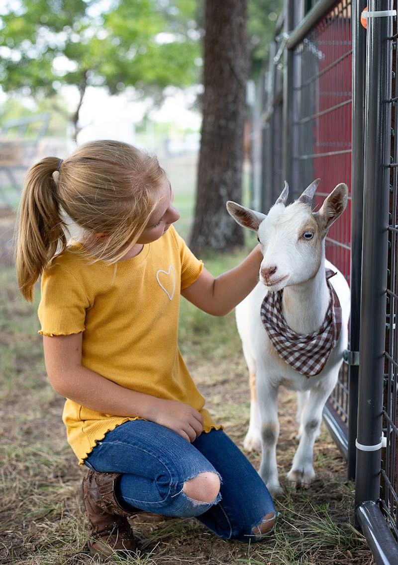 No Reservations Required, Just Show Up