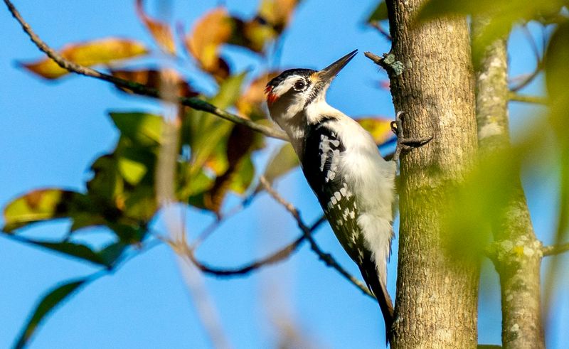 Getting There and Planning Your Visit