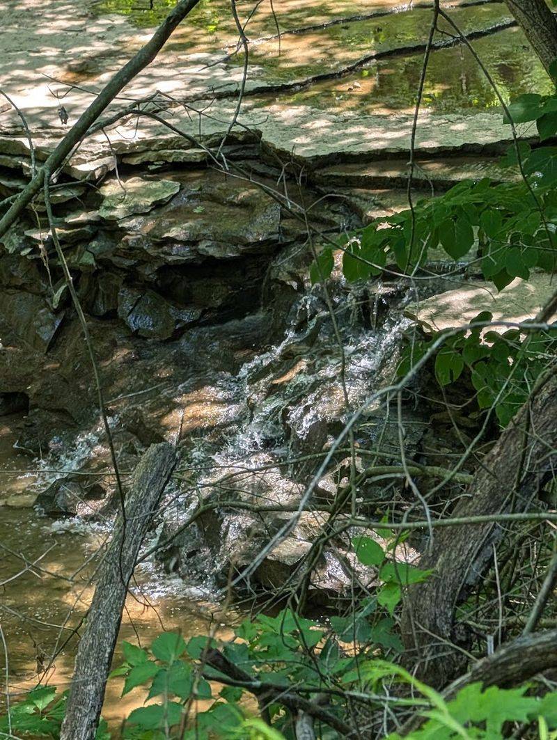 Free and Open Year-Round Access for Everyone