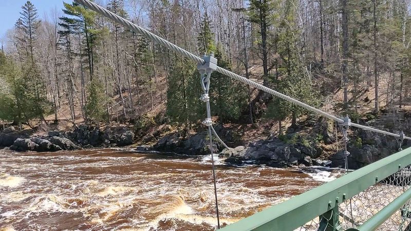 Wildlife and Nature Watching