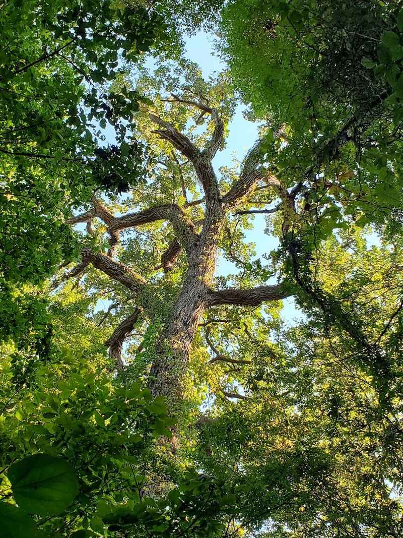 Why This Small Park Carries an Outsized Importance