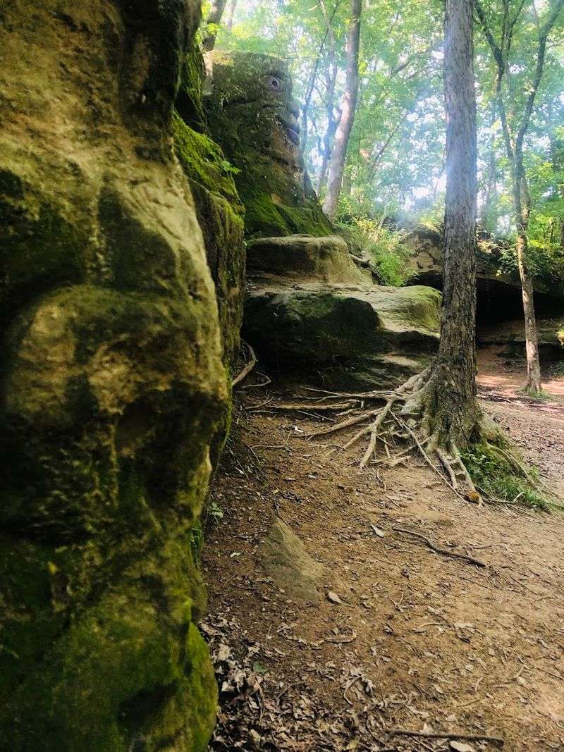 Rock Carvings and the History Written in Stone