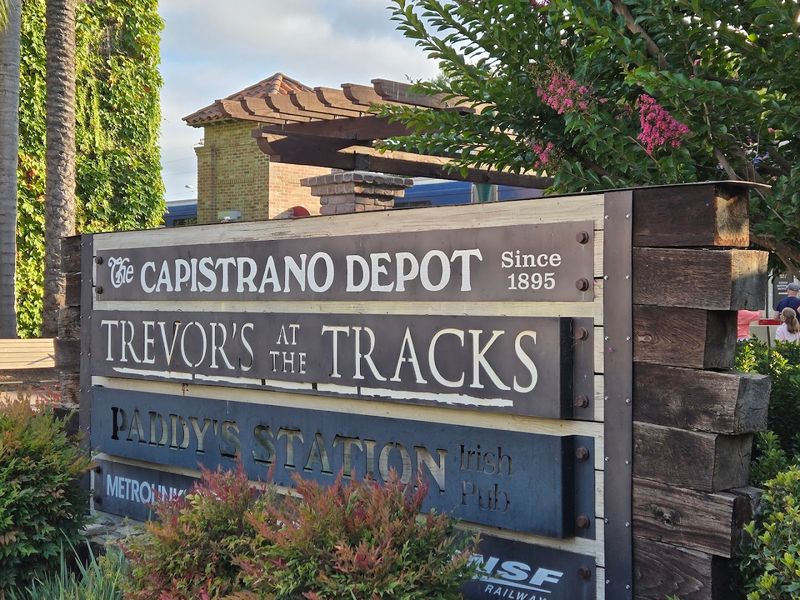 The Occasional Amtrak Surfliner Rolling Past The Rail
