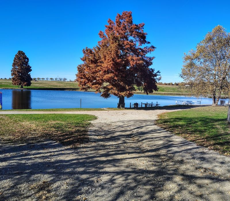 Scenic Countryside Beauty That Feels Like a Real Escape