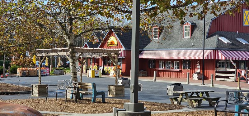 Soft Serve, Slushies, and Sweet Treats Beyond Donuts