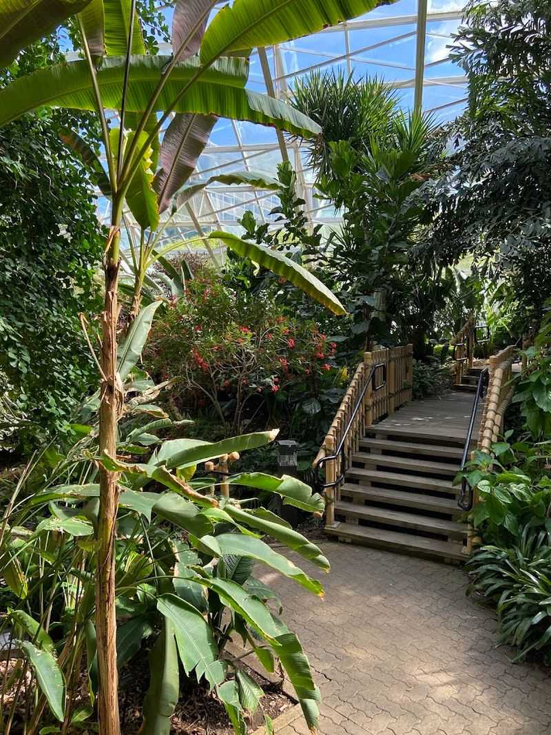 Four Outdoor Gardens with Midwestern Trees, Shrubs, and Scenic Pathways