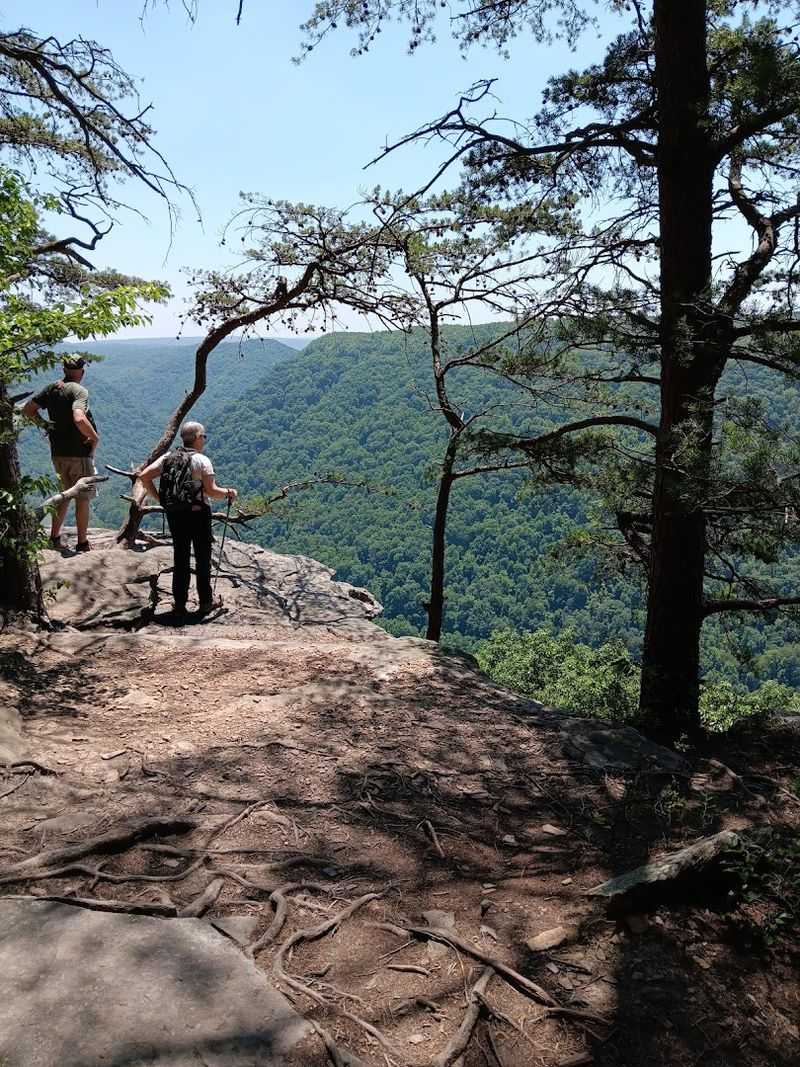 Practical Tips for Hiking the Endless Wall Trail