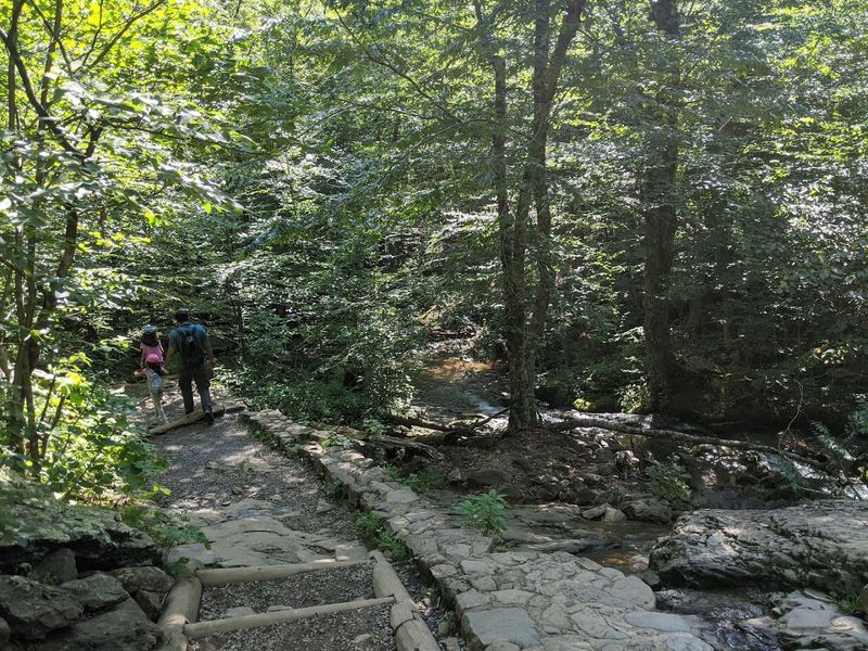 Wildlife Watching Along the Way: More Than Just a Waterfall