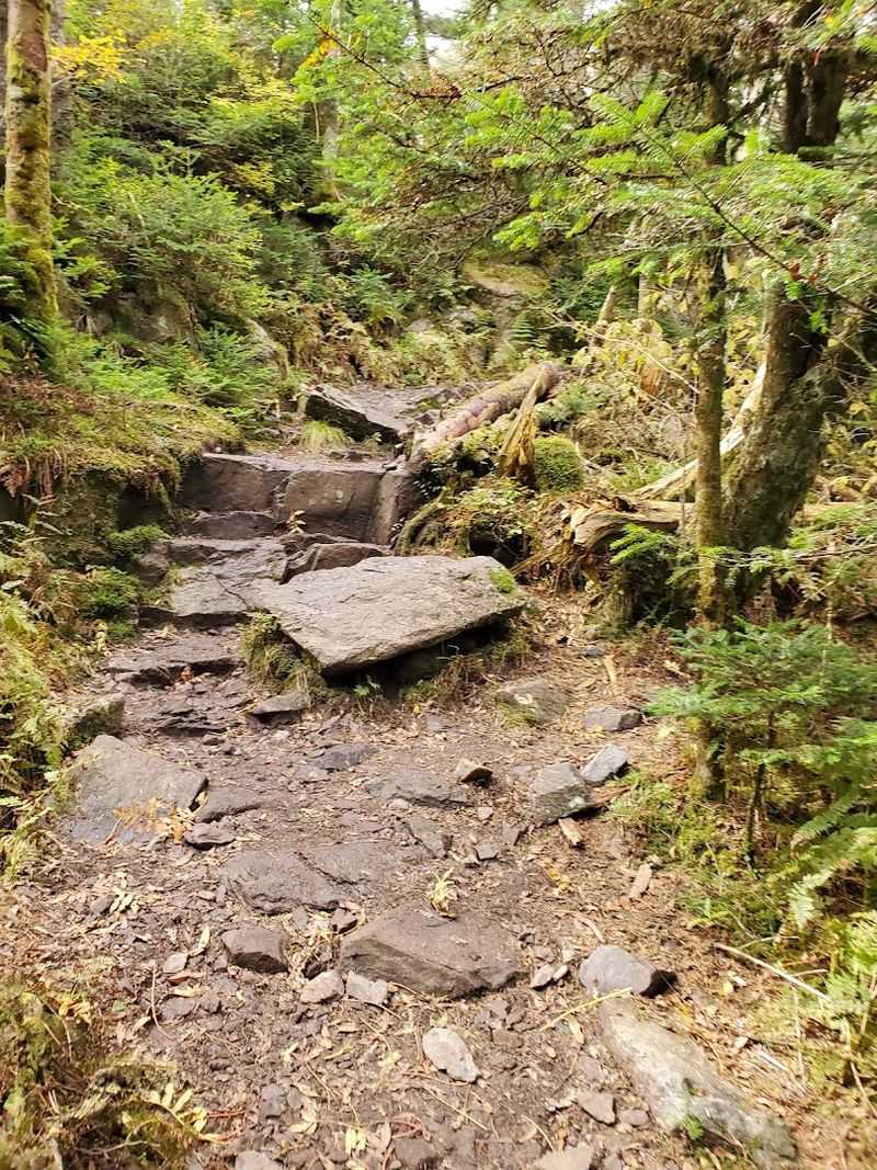 Gear Up Right: What the Trail Actually Demands