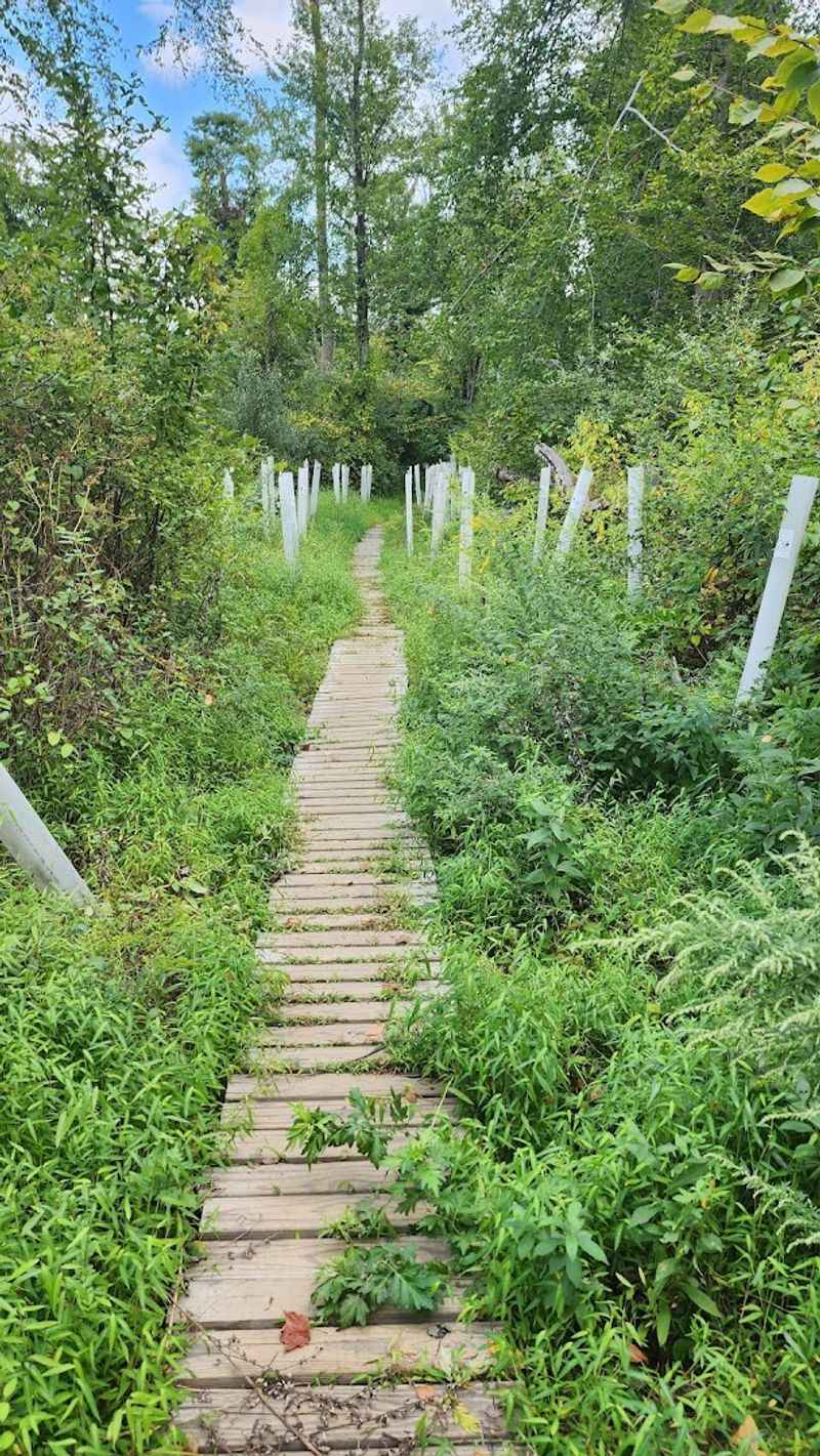 Planning Your Visit: Practical Tips for a Great Day Out