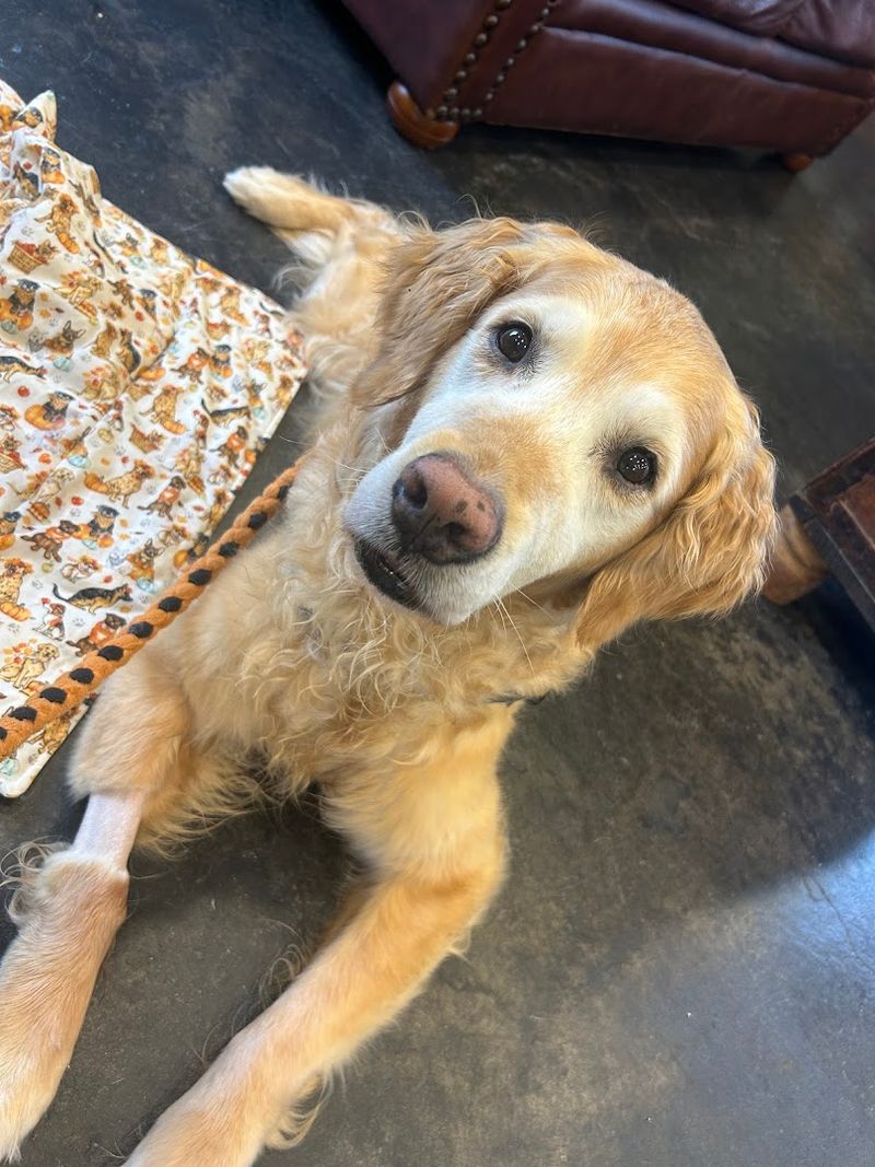 A Perfect Stop Whether You Are Local or Just Passing Through