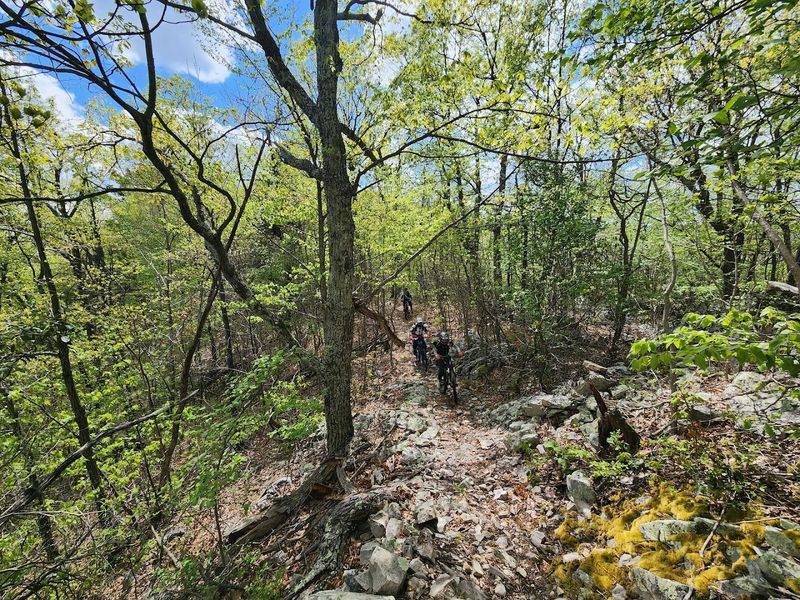 Mountain Biking and Hiking the Big Levels Area