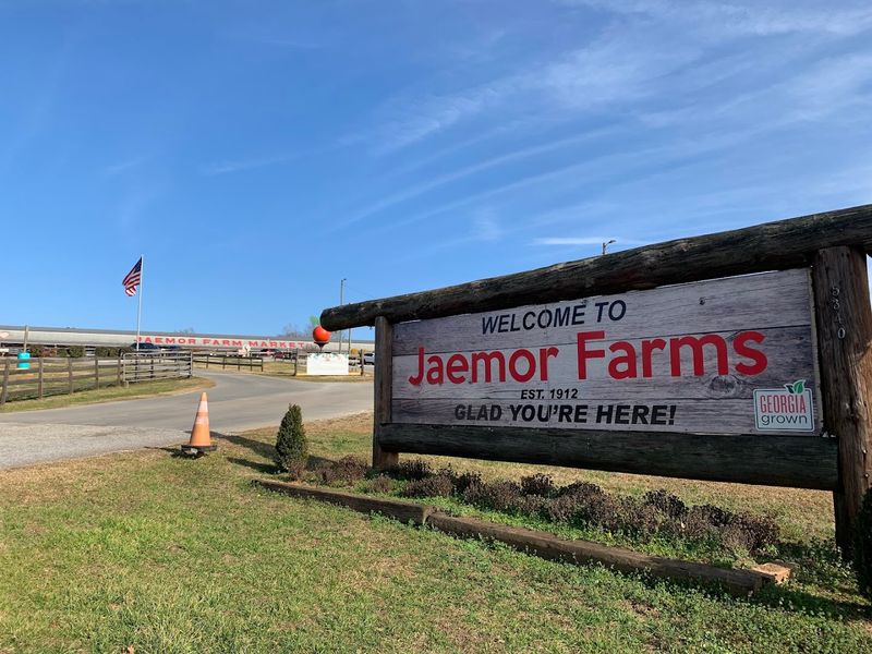 This Alto Market Feels Bigger Than Expected