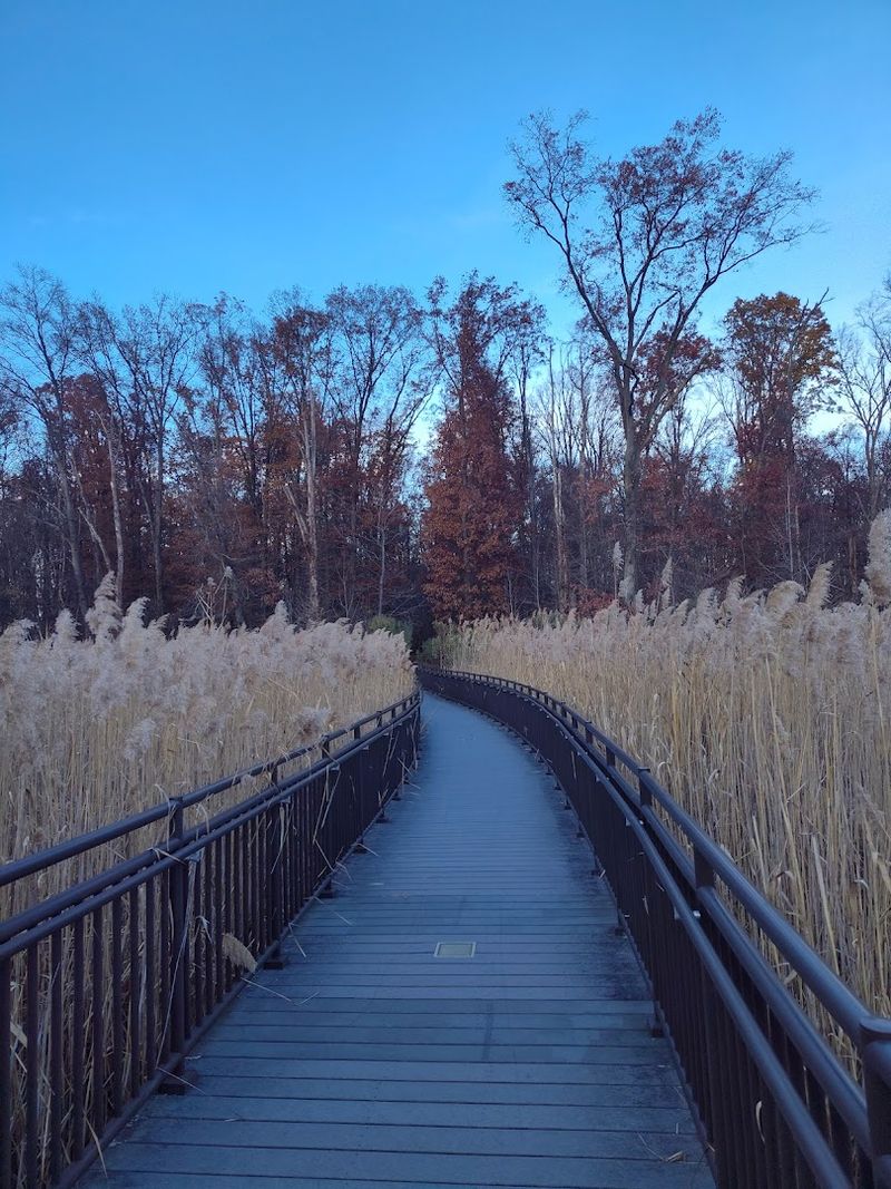 Planning Your Visit To Hawk Rise Sanctuary