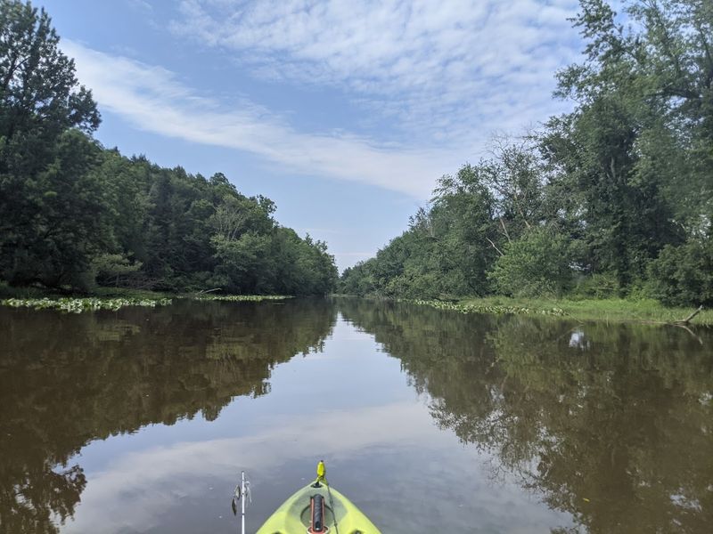 Kayaking and Wetland Exploration by Water