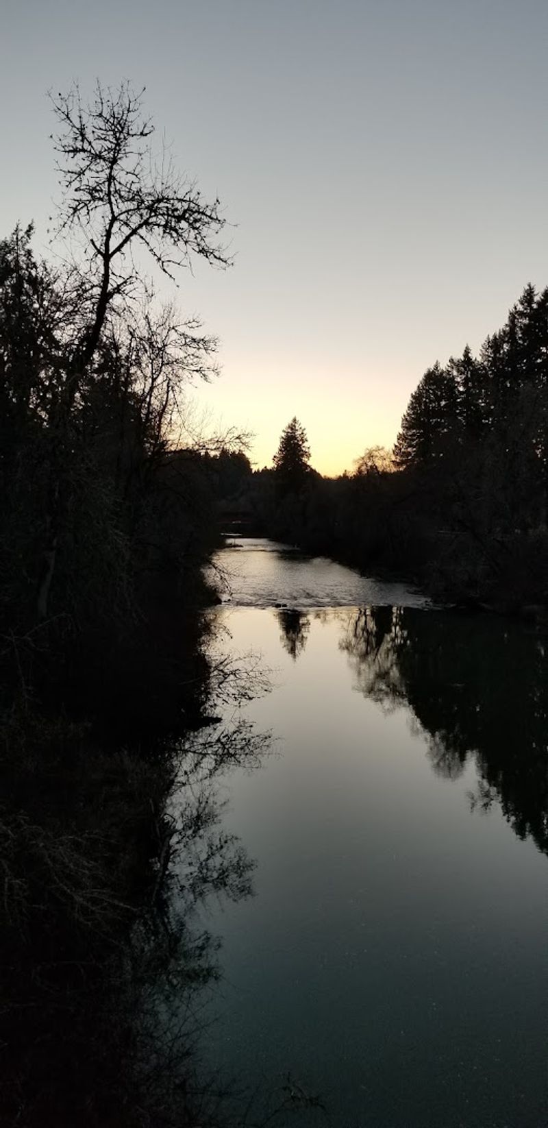 The Row River Itself Is the Star