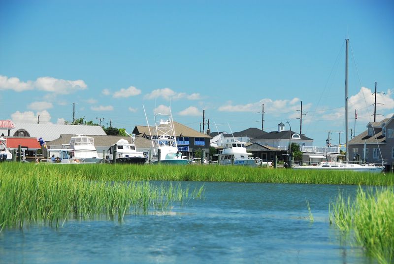 Can Sugarloaf Island Be Saved?