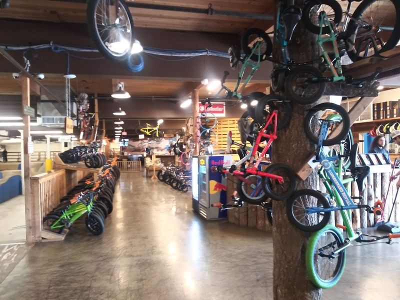 Bike Rentals and Gear Shop
