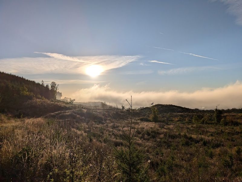 Views From the Top That Make the Climb Worth It