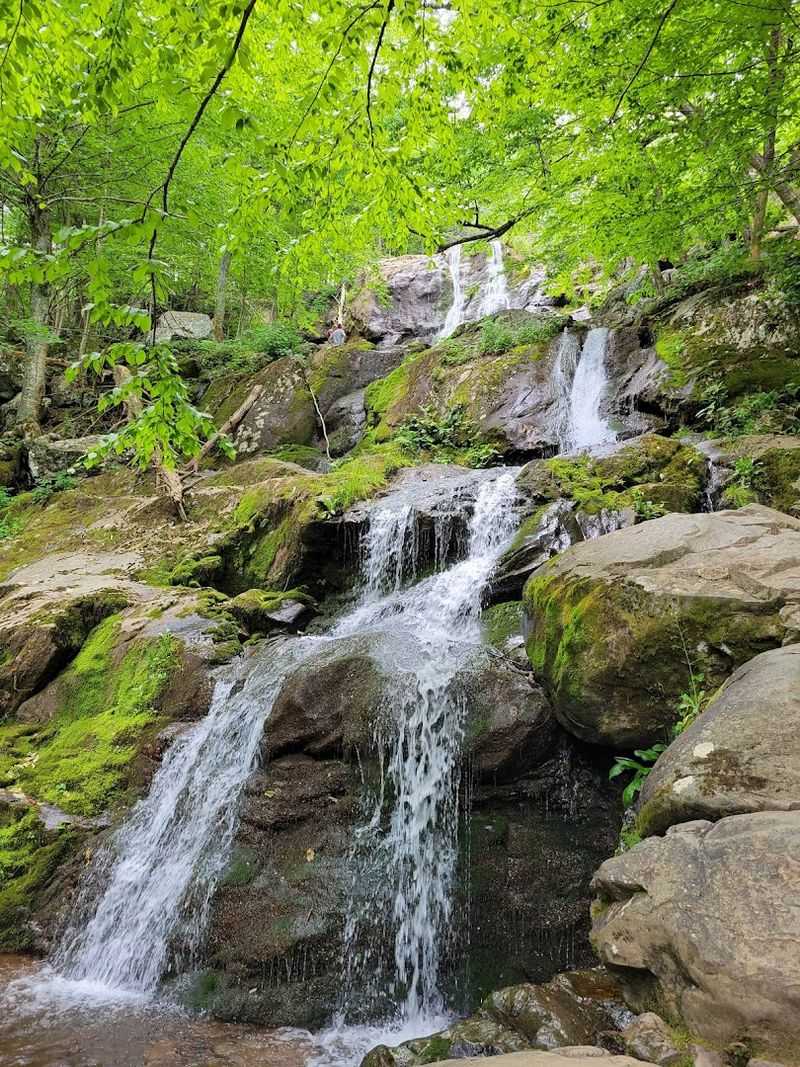 Dark Hollow Falls: The Waterfall That Earns Its Applause