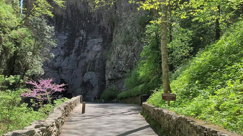 Accessibility at the Park: More Welcoming Than You'd Expect