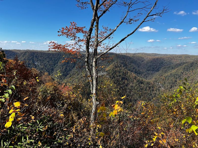 12,000 Acres of Pure Virginia Wilderness to Explore