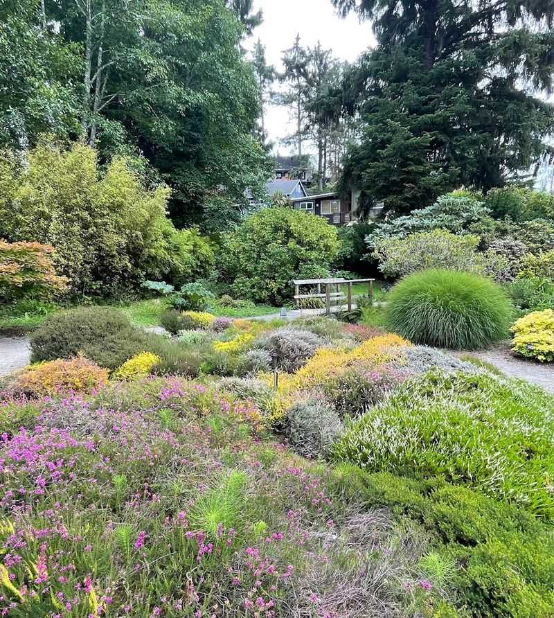 A Hidden Gem Right in the Heart of Lincoln City