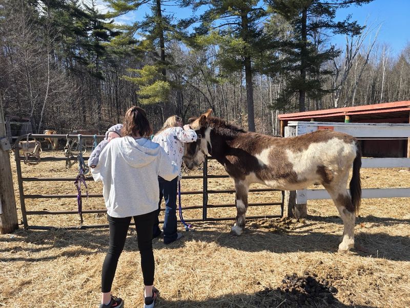 The Volunteer Community That Keeps It All Running