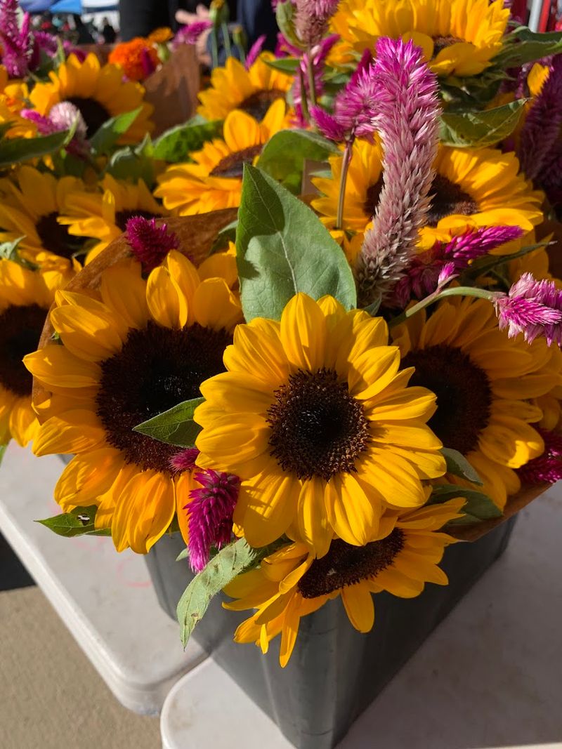 Cut Flowers And Plants That Brighten Up Any Home