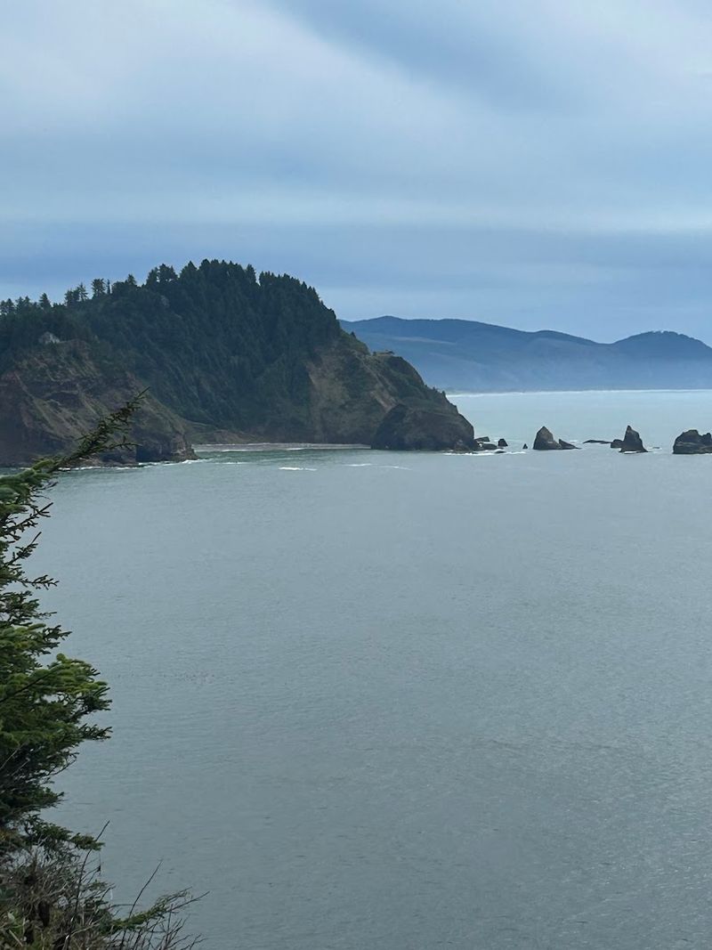 Planning Your Visit to Cape Meares