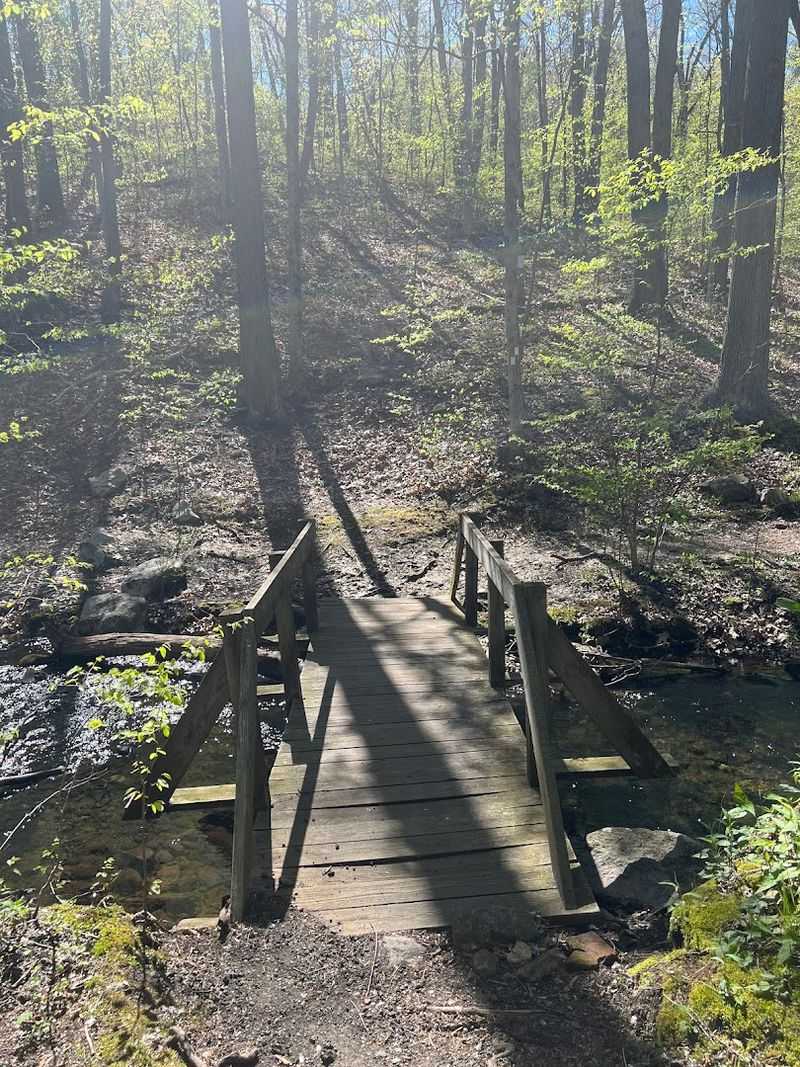 The Allamuchy Pond Trail Loop