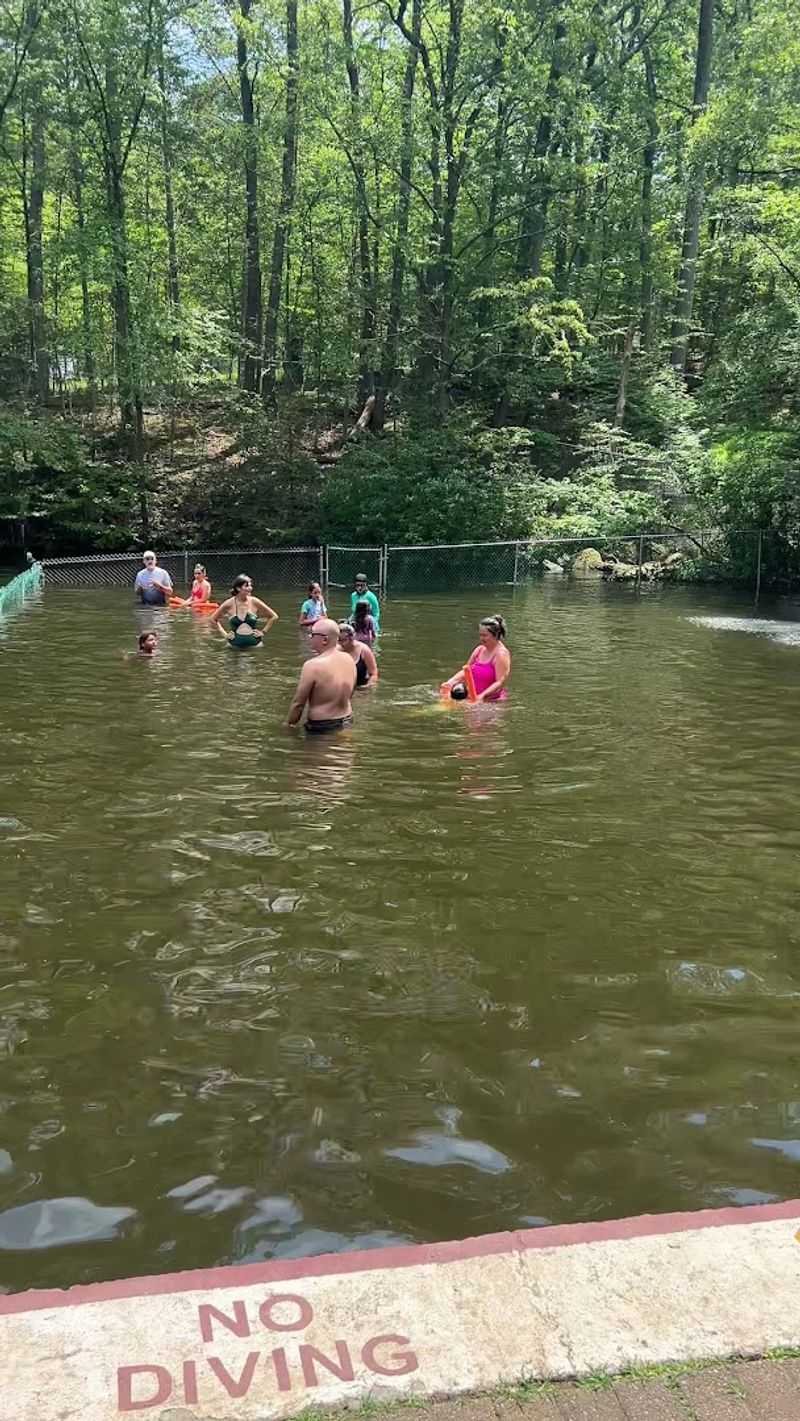 Deep End Thrills and Shallow Side Comfort for Every Swimmer