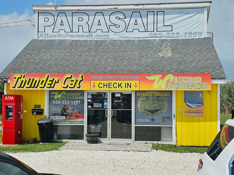 Why Thunder Cat Keeps People Coming Back Season After Season