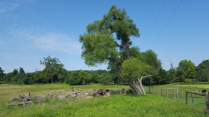 Journey Through Hallowed Ground, U.S. Route 15