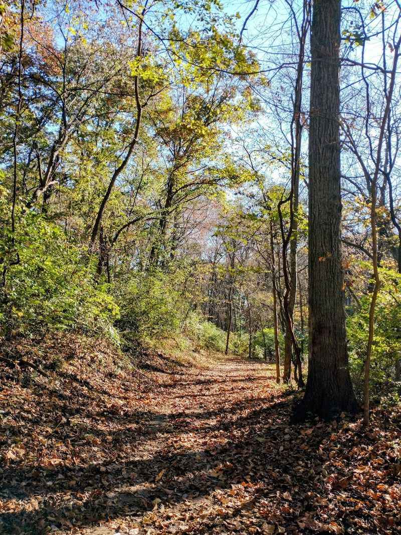 Seasonal Changes That Make Every Visit Different