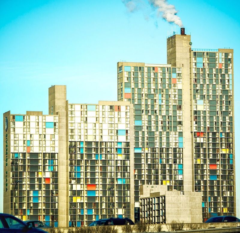 Cedar Avenue and Its Cultural Mosaic