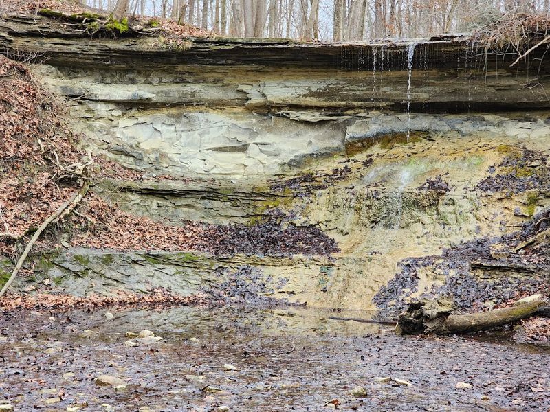 Kissing Falls Loop