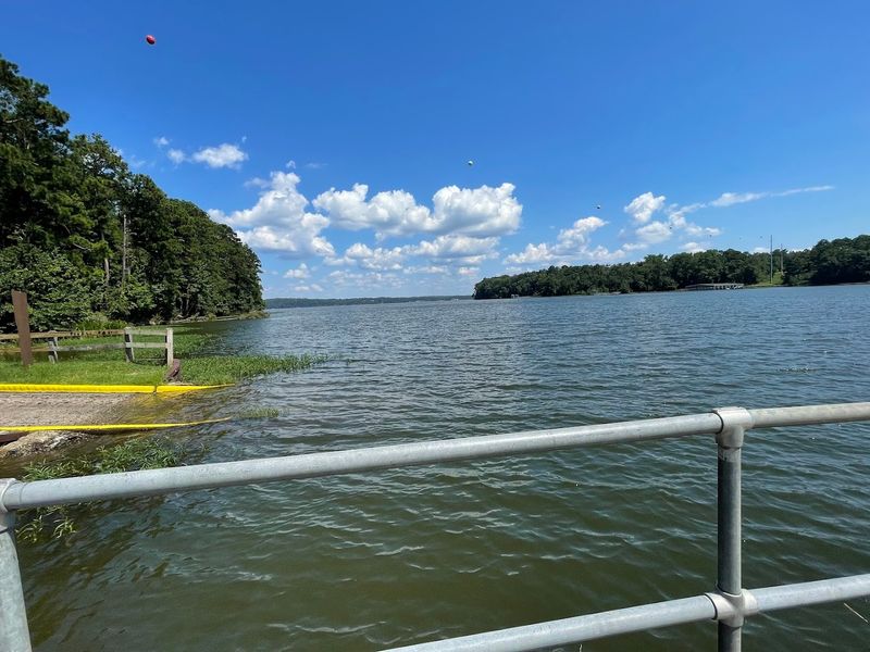 The Chattahoochee River's Natural Beauty