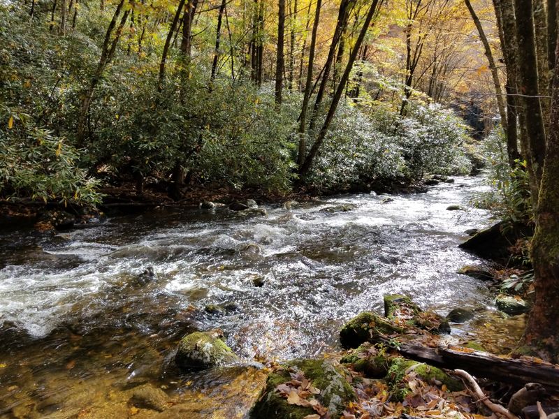 Bryson City