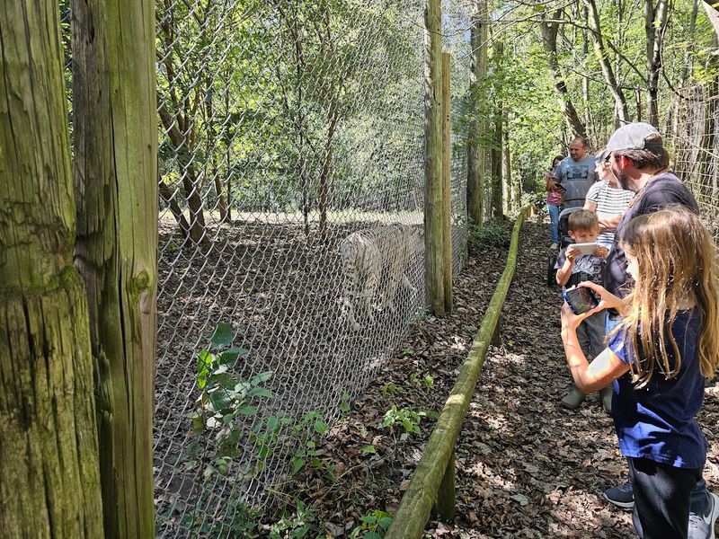 Supporting Wildlife Conservation With Every Visit