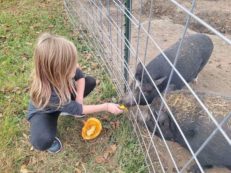 Meet a Diverse Cast of Rescued Animals