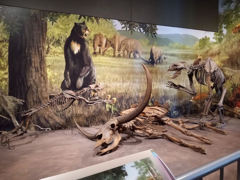 The Gift Shop That Actually Gets It Right