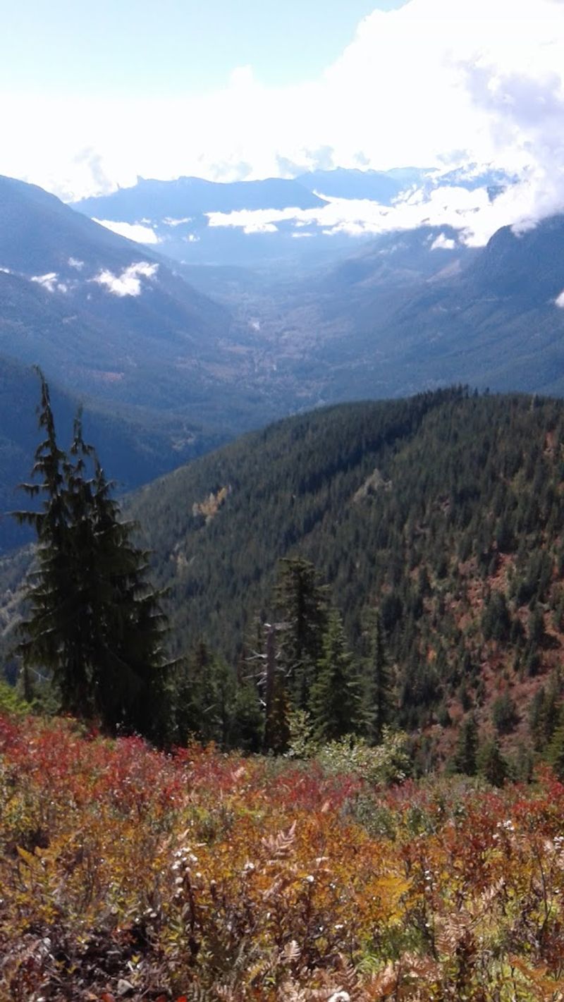 See The Remains Of The 1967 Burn