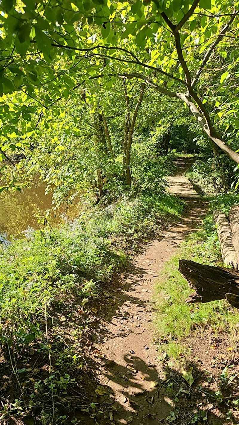 Finding Founders Walk and the Path to the Bridge